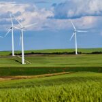 Przyszłość bez plastiku. Jakie innowacje pomogą ocalić planetę?