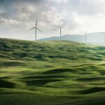 Czysta energia w praktyce. Jak wdrożyć ekologiczne rozwiązania w domu?