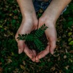 Przyszłość bez plastiku. Jakie innowacje pomogą ocalić planetę?